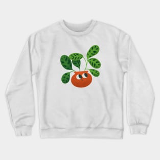 Prayer Plant Pal Crewneck Sweatshirt